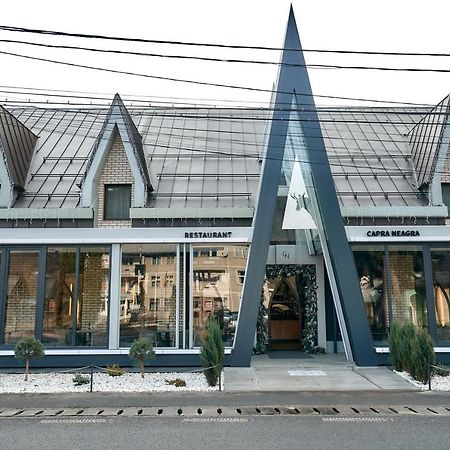 Pensiune Restaurant Capra Neagra Moisei Exteriér fotografie